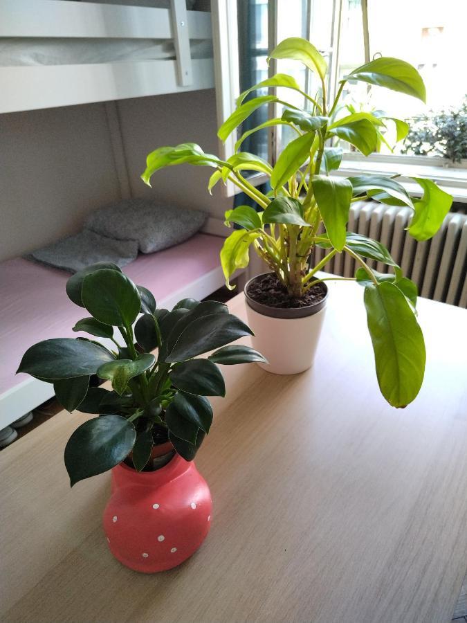 Monica'S House Hostel Beograd Ngoại thất bức ảnh