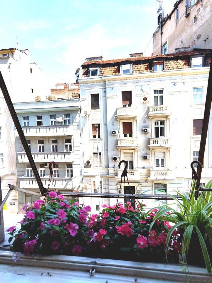 Monica'S House Hostel Beograd Ngoại thất bức ảnh